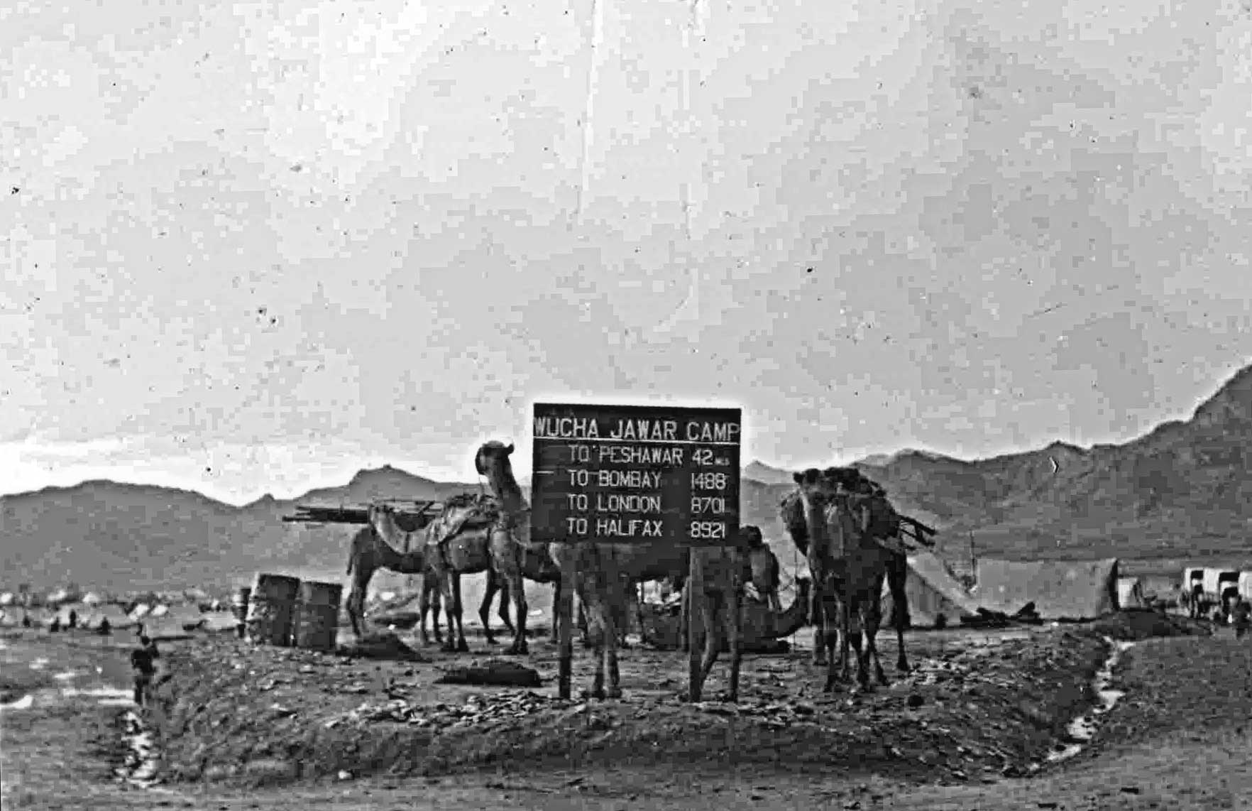 Wucha Jawar Camp sign